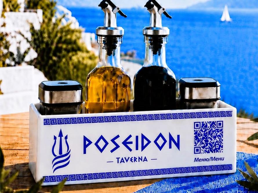 ALL in ONE Комбиниран органайзер с QR код (модел Greek Spirit)
